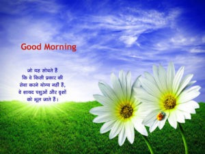 New Good Morning Quotes Wallpaper Download