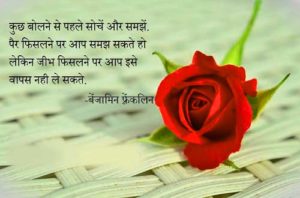 Love Whatsapp Status Images In Hindi Quotes With Red Rose