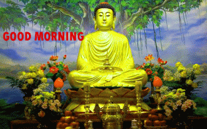 Buddha HD Good Morning Images Wallpaper Pics Photo Pictures In HD Download For Whatsaap 