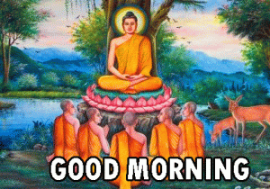 Gautam Buddha Good Morning Wallpaper Download 