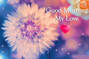 My Love Good Morning Photo Pictures 