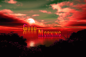 HD New Good Morning Photo Pictures Free Download