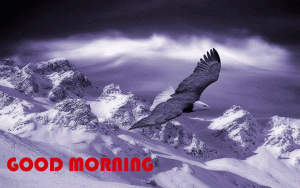 Best Nature Winter Good Morning Images Download