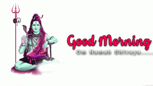 Lord Shiva Good Morning Photo Pics Free Download 