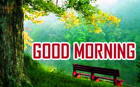 Good Morning Images With Nature HD Downlaod
