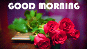Red Rose Good Morning Wishes Images