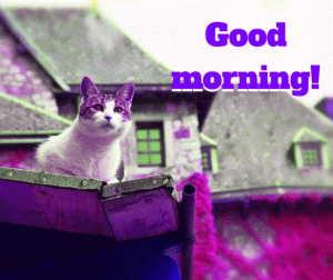 Good morning Wishes Photo Pics In HD