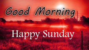 Sunday Good Morning Pictures Free Download
