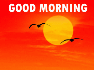 Top HD Sunrise Good Morning Photo Pics Download In HD