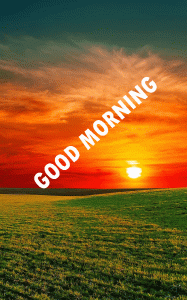 Sunrise Good Morning Photo Pictures Free Download 