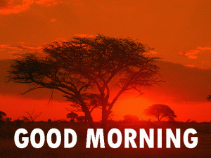 Sunrise Good Morning Photo Pics Download In HD