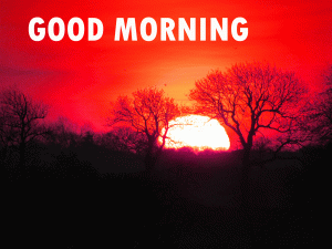Good Morning Photo Pictures Download In HD