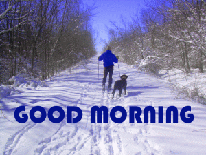 New HD Good Morning Photo Pics in Winter Download