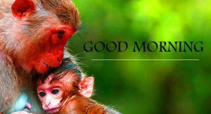 Emotion Good Morning Pictures Download