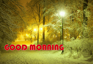 Winter HD Good Morning Photo Pics Download In HD