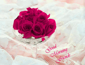 Best Good Morning Photo Pics In HD With Red Rose