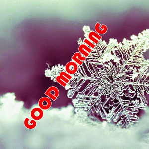 Free HD Winter Good Morning Pictures Download