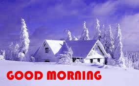 Winter HD Good Morning Images Download Free