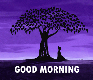 Gautam Buddha Good morning Photo Download 