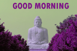 hd gautam buddha good morning pics