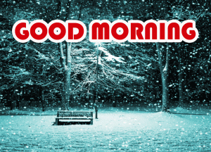 New HD Winter Good Morning Images Download