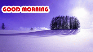 Good Morning photo Pics With Winter Download