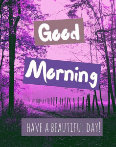 Love Good Morning Wallpaper free Download 