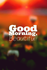 Beautiful love Good Morning Images Download