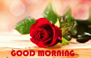 Red Flower Good Morning Wishes Images Pics