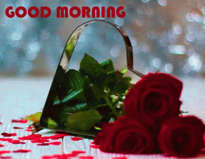 Red Flower Good Morning Wishes Photo Wallpaper