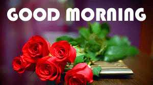 Red Flower Good Morning Wishes Pictures Download