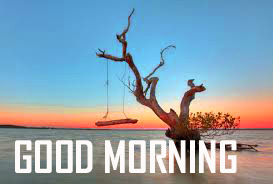 Nature Good Morning Photo Free Download