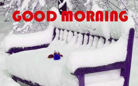 Latest HD Winter Good Morning Photo Download