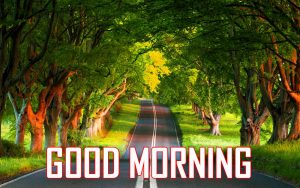 Top HD Good Morning Images Download