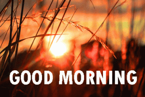 Sunrise Good Morning Pics In HD Free Download