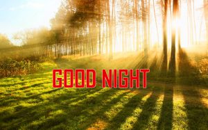 New Good Night Images Download 