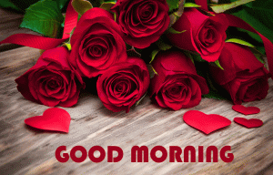 Red Rose Good Mornign Wishes Images