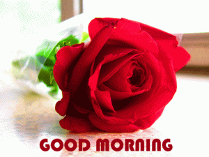 Red Flower Good Morning Wishes Pictures Download