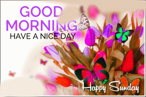 Sunday Good Morning Images Pictures Free Download