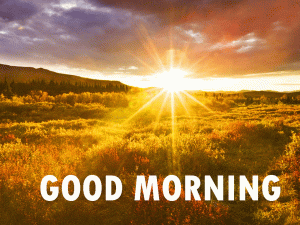 Free Good Morning Images Download For Whatsaap