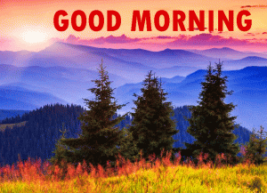 Free good morning Images pictures Download 