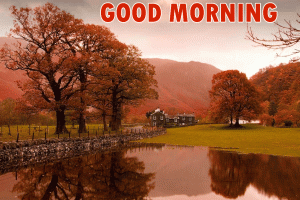 Good Morning Images Photo Download 