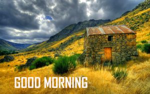 Nature Good Morning Pics Download 