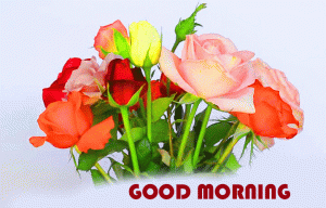 Good Morning Wishes Photo Pics Free Download