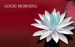 Free Good Morning Wishes Images