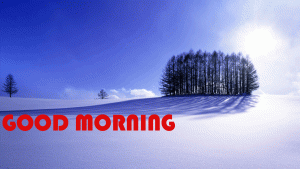 Good Morning Images Photo With Nature Winter
