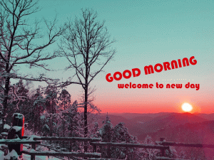 Winter Good Morning Wallpaper Download