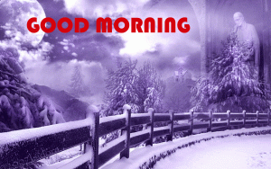Winter Good Morning Photo Pics free Download