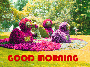 HD Good Morning Photo Download For Whatsaap