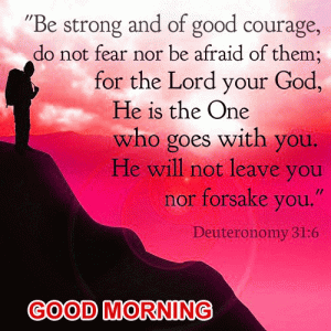 bible Quotes Good Morning Photo Pics Free Download